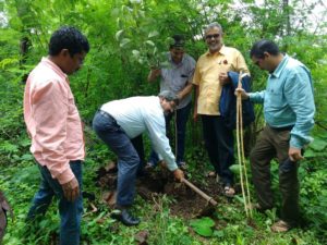 vrukshancha vaddivas 17-3