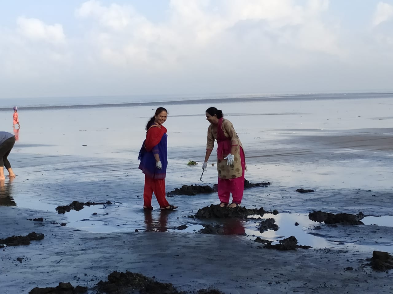 स्वच्छता अभियान २०१९